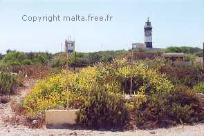 Copyright malta.free.fr - Tous droits réservés