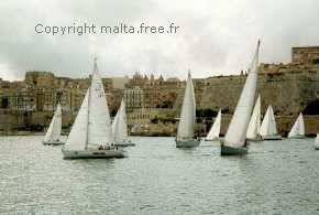 Copyright malta.free.fr - Tous droits réservés