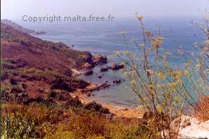 Copyright malta.free.fr - Tous droits réservés